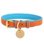 Vibrant Sunset - Dog Collar  - Medium