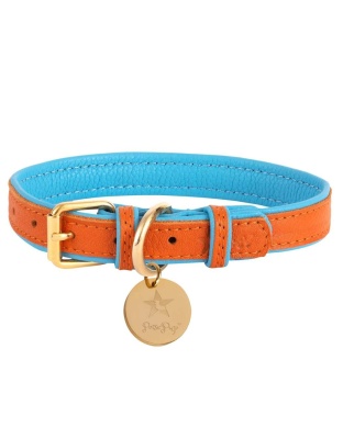 Vibrant Sunset - Dog Collar  - Small