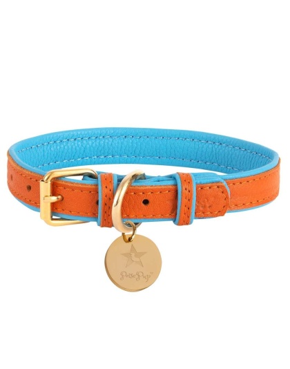 Vibrant Sunset - Dog Collar  - Small