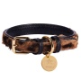 Wildest One - Dog Collar  - Large