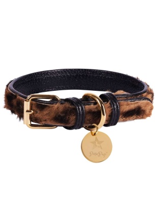 Wildest One - Dog Collar  - XL