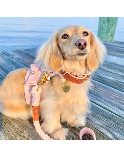 Bella Rose - Dog Harness  - Small