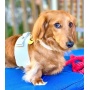 Hot Marine - Dog Harness  - Small