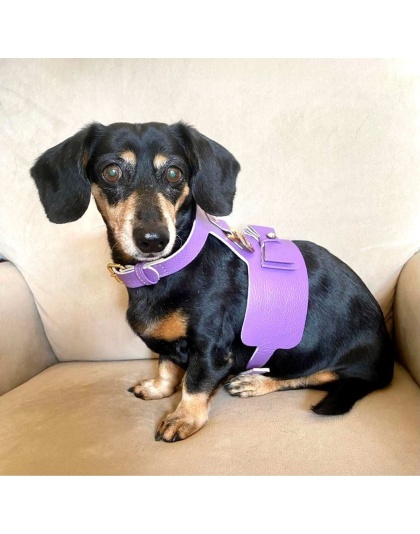 Lavish Lavender - Dog Harness  - Medium