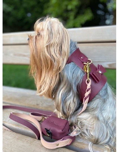 Luscious Bow - Dog Harness  - XS