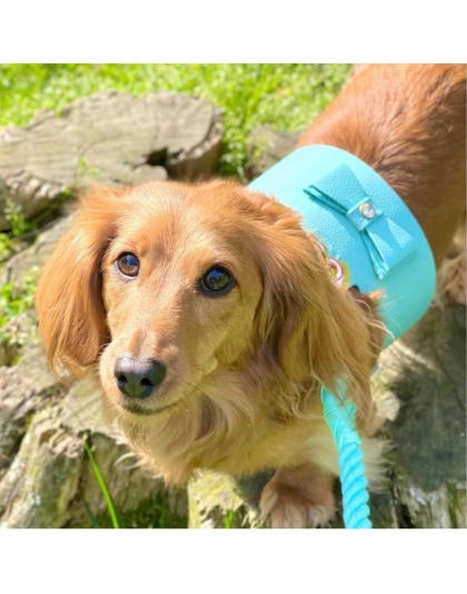 Sunshine Babe - Dog Harness  - XS