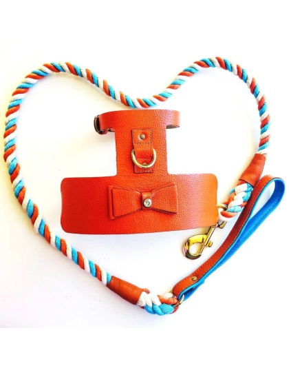 Vibrant Sunset - Dog Harness  - Small