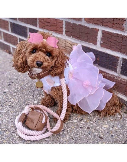 Bella Rose - Dog Leash