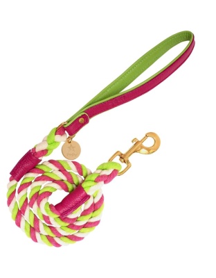 Candy Swirl - Dog Leash