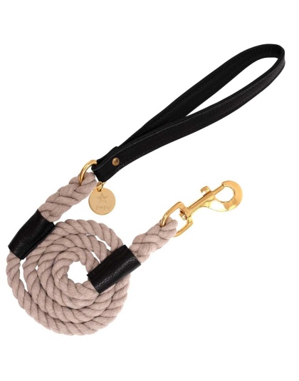 Dark Night - Dog Leash