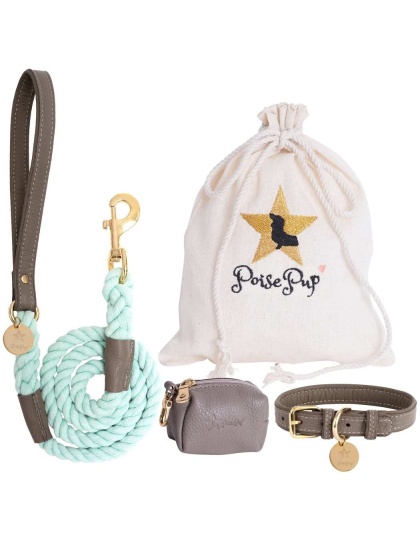 Desert Mint - Dog Leash