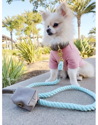 Desert Mint - Dog Leash