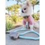 Desert Mint - Dog Leash