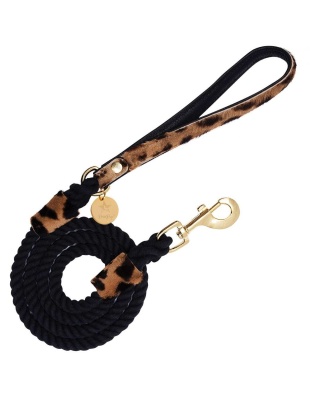 Wildest One - Dog Leash