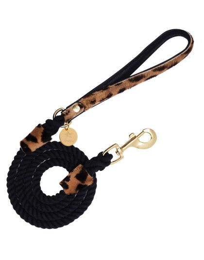 Wildest One - Dog Leash