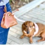 Bella Rose - Treat Bag