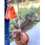 Vibrant Sunset - Treat Bag