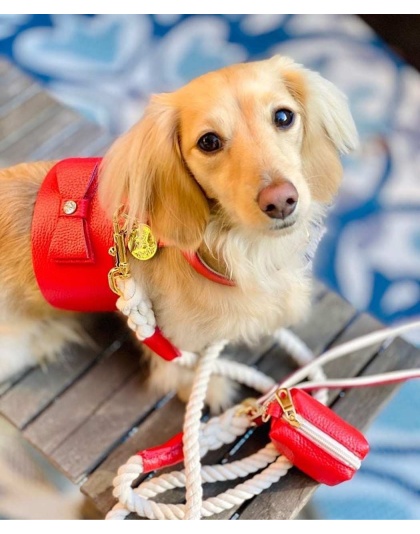 Melting Hearts - Waste Bag Holder