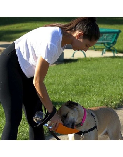 Orange - Fold-A-Bowl - Portable Pet Water Bottle and Bowl