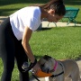 Orange - Fold-A-Bowl - Portable Pet Water Bottle and Bowl