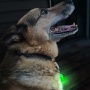Green - Jade/Blue LED - Pet Blinkers Flashing LED Pet Safety Light  - Large Breed