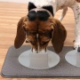 Ear-Clear - Pet Feeding Station