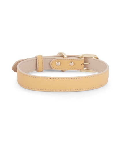 Copenhagen Dog Collar - Medium