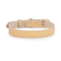 Copenhagen Dog Collar - XS