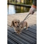 London Dog Leash - 4ft