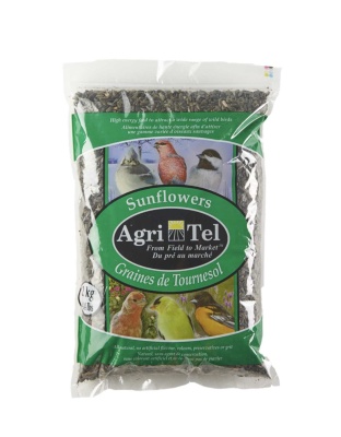 Sunflowers (Black Oils) 2kg/4kg/8kg (Pack of 2,3,8) - 2 kg = 4.4 lb
