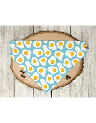 Sunny Side Up Eggs - No Tie Dog Collar Bandana - Kitty