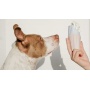 Ethereal Sky - The Ubbe - Treat Filler Chew Toy Made for Easy Cleaning