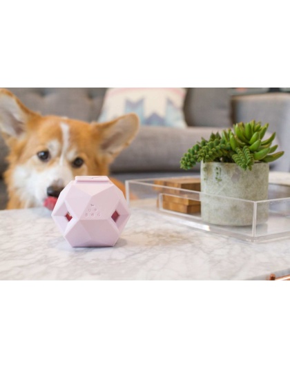 Lavender Purple - The Odin - Modern Treat Dispensing Dog Puzzle