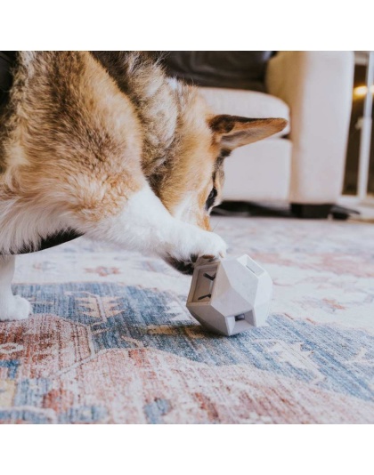 Lavender Purple - The Odin - Modern Treat Dispensing Dog Puzzle