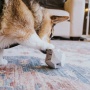 Lavender Purple - The Odin - Modern Treat Dispensing Dog Puzzle