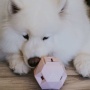 Lavender Purple - The Odin - Modern Treat Dispensing Dog Puzzle
