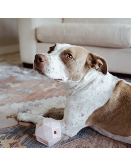 Lavender Purple - The Odin - Modern Treat Dispensing Dog Puzzle