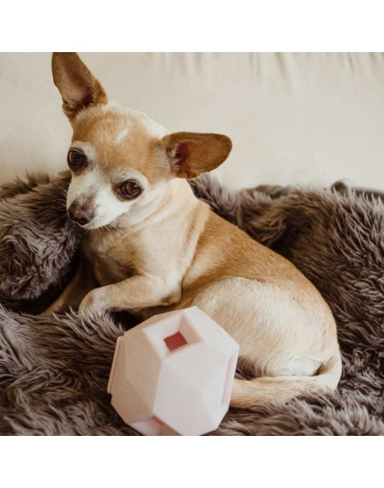 Lavender Purple - The Odin - Modern Treat Dispensing Dog Puzzle