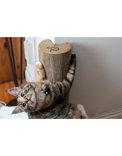 Kitty Corner Cat Scratching Post (2 pieces)