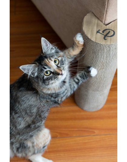 Kitty Corner Cat Scratching Post (2 pieces)
