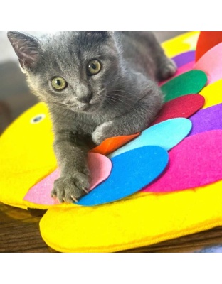 Fish - Snuffle Mat Puzzle Pad