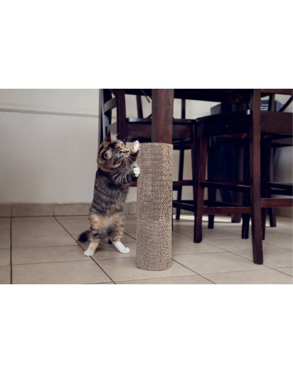 Kitty Corner Cat Scratching Post (2 pieces)