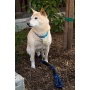 Dragonfly - Tug Control Leash with Reflectors & Shock Absorber - Large