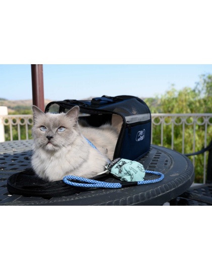 Elektric Blue - Tug Control Leash with Reflectors & Shock Absorber - XL
