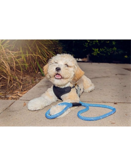 Elektric Blue - Tug Control Leash with Reflectors & Shock Absorber - XL