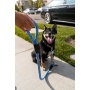 Elektric Blue - Tug Control Leash with Reflectors & Shock Absorber - XL