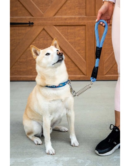 Elektric Blue - Tug Control Leash with Reflectors & Shock Absorber - XL