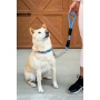 Elektric Blue - Tug Control Leash with Reflectors & Shock Absorber - XL