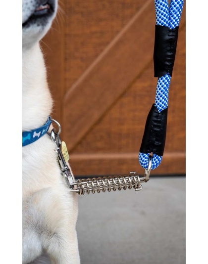 Elektric Blue - Tug Control Leash with Reflectors & Shock Absorber - XL
