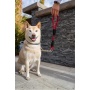 Ladybug - Tug Control Leash with Reflectors & Shock Absorber - Large
